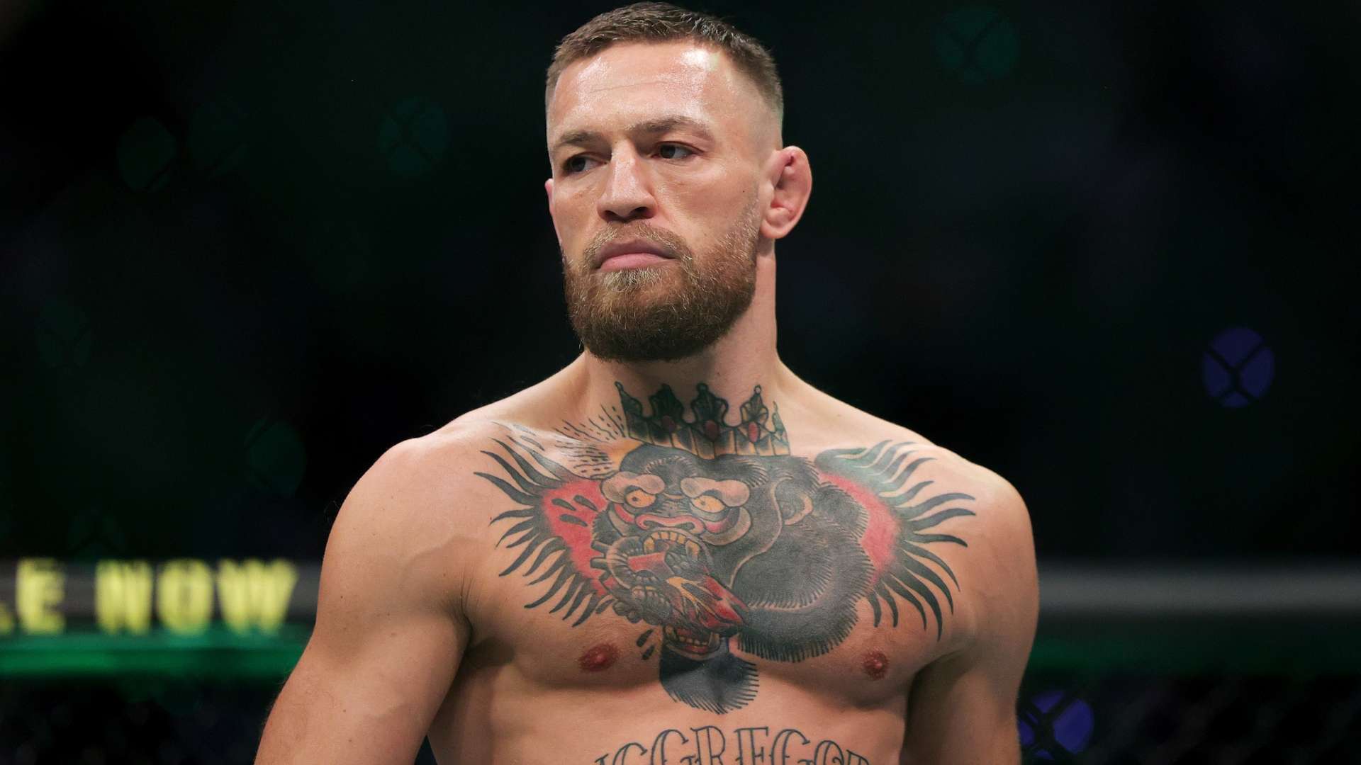 感受赛场上 感受赛场上